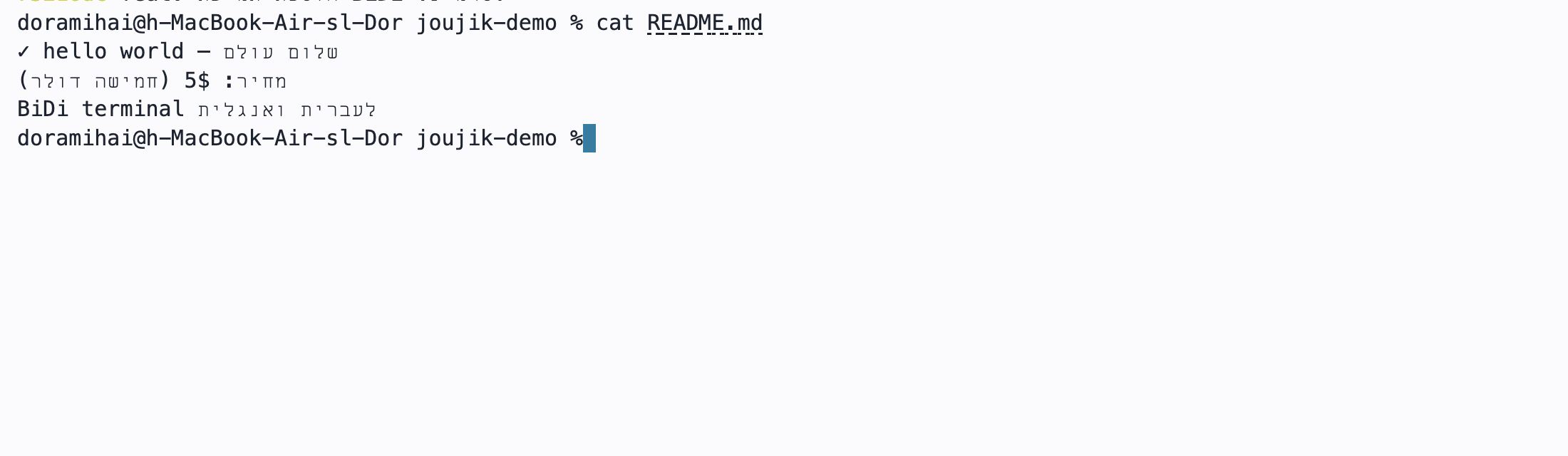 Joujik Terminal: ls shows Hebrew filenames, git log shows Hebrew commit messages, and cat shows mixed Hebrew/English — all in correct visual order