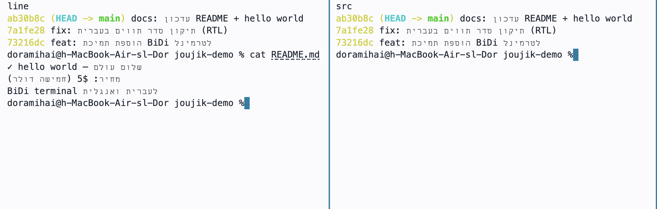 Two split panes side by side, each showing Hebrew filenames and Hebrew git commit messages