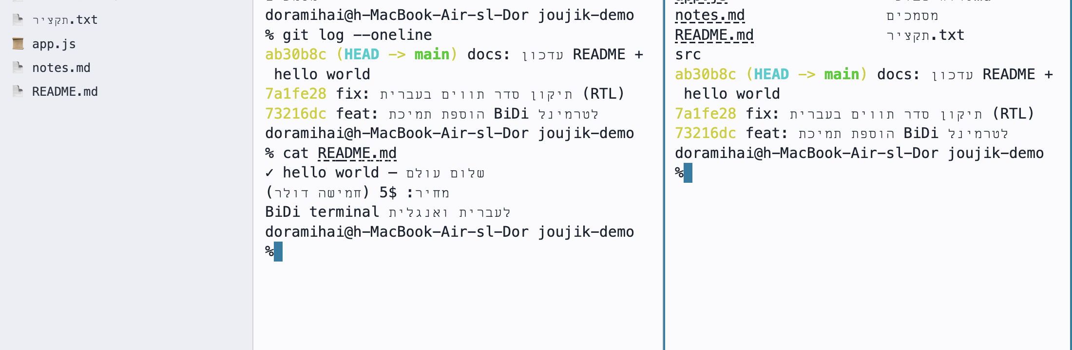 File browser sidebar listing Hebrew-named files and folders next to the terminal